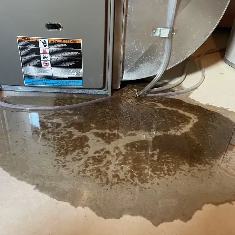 Appliance Leak Cleanup in Knox County, TX